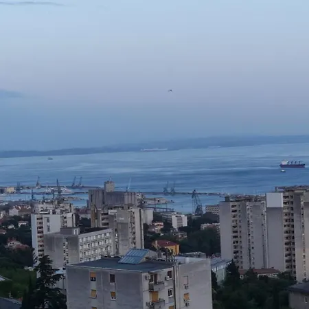 Qr For Family, Couples, And Friends In