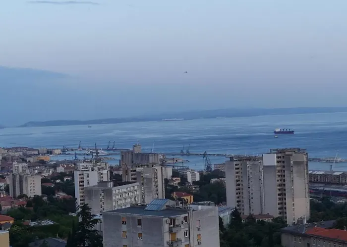 Qr For Family, Couples, And Friends In